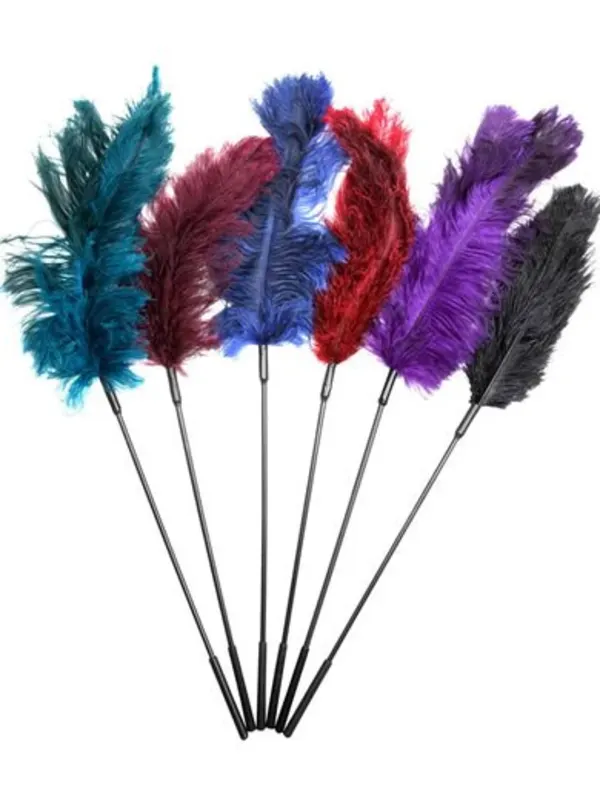 Colorful feathers used for gentle sensory play, enhancing intimacy and connection for lesbian and LGBTQ+ couples.