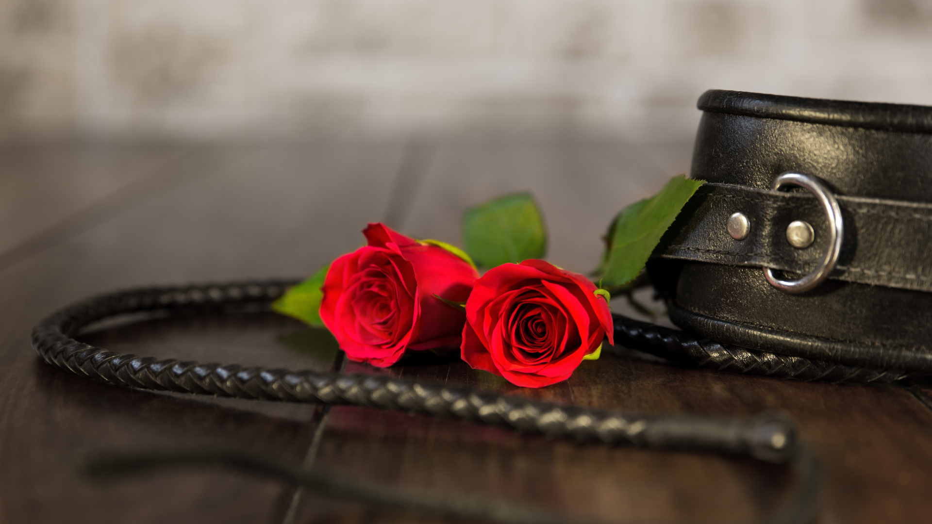 Ropes representing safe, sane, and consensual (SSC) BDSM practices, highlighting education and communication for lesbian and LGBTQ+ dating.